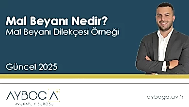 Mal Beyanı Nedir